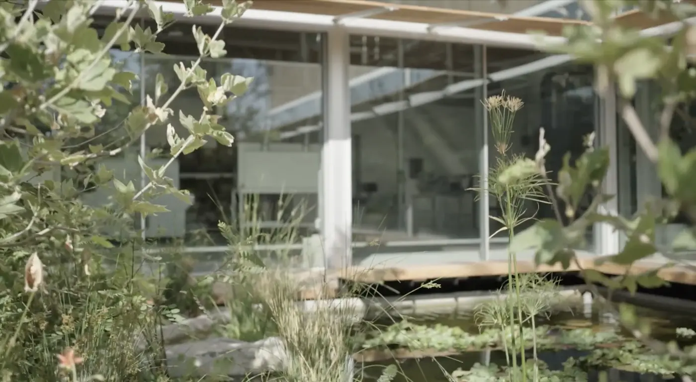 Automated Knitting Facility, Garden Views (top & bottom) — Photos (Video Stills): KX Lab. Mads Bjørn Christiansen
